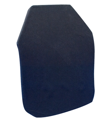 Hard Armor Plate #10048